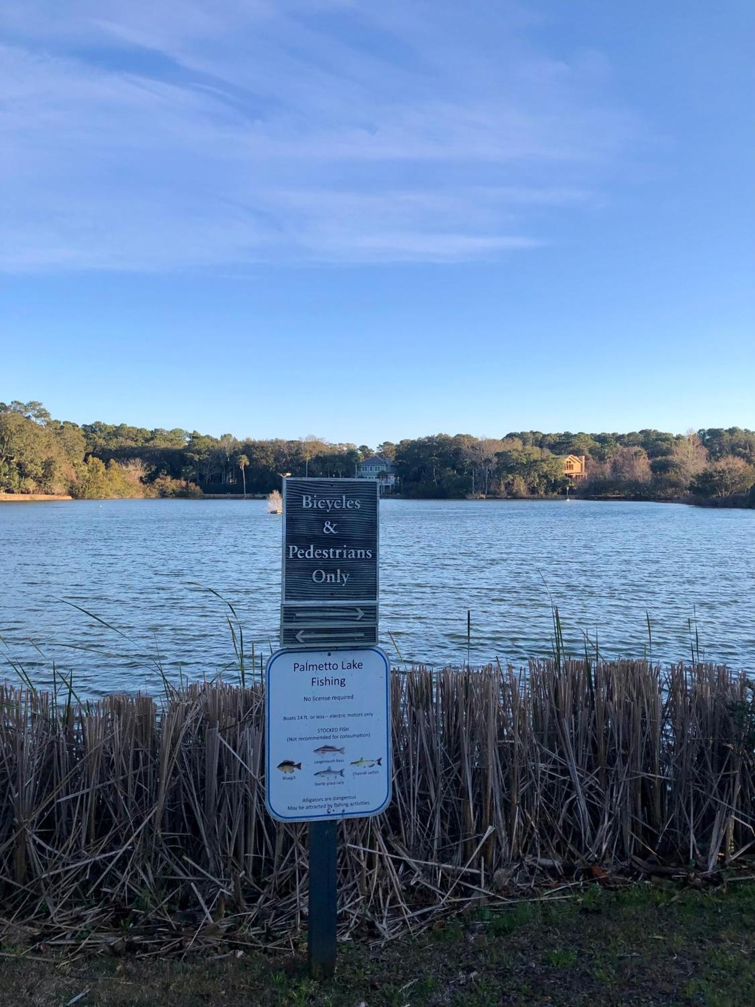 2065 Salt Marsh Βίλα Seabrook Island Εξωτερικό φωτογραφία